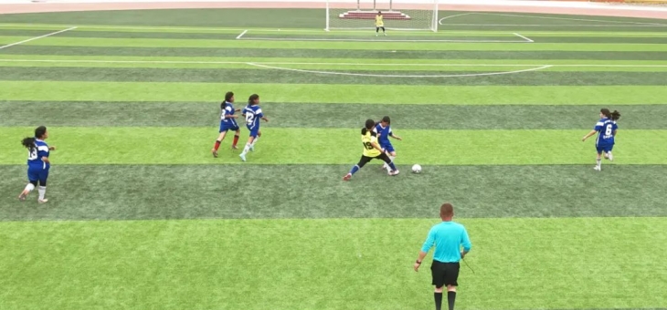 关于足球赛场精彩纷呈，球员们斗志昂扬的信息