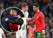 包含荷兰遭斯洛文尼亚反击，不敌对手的词条